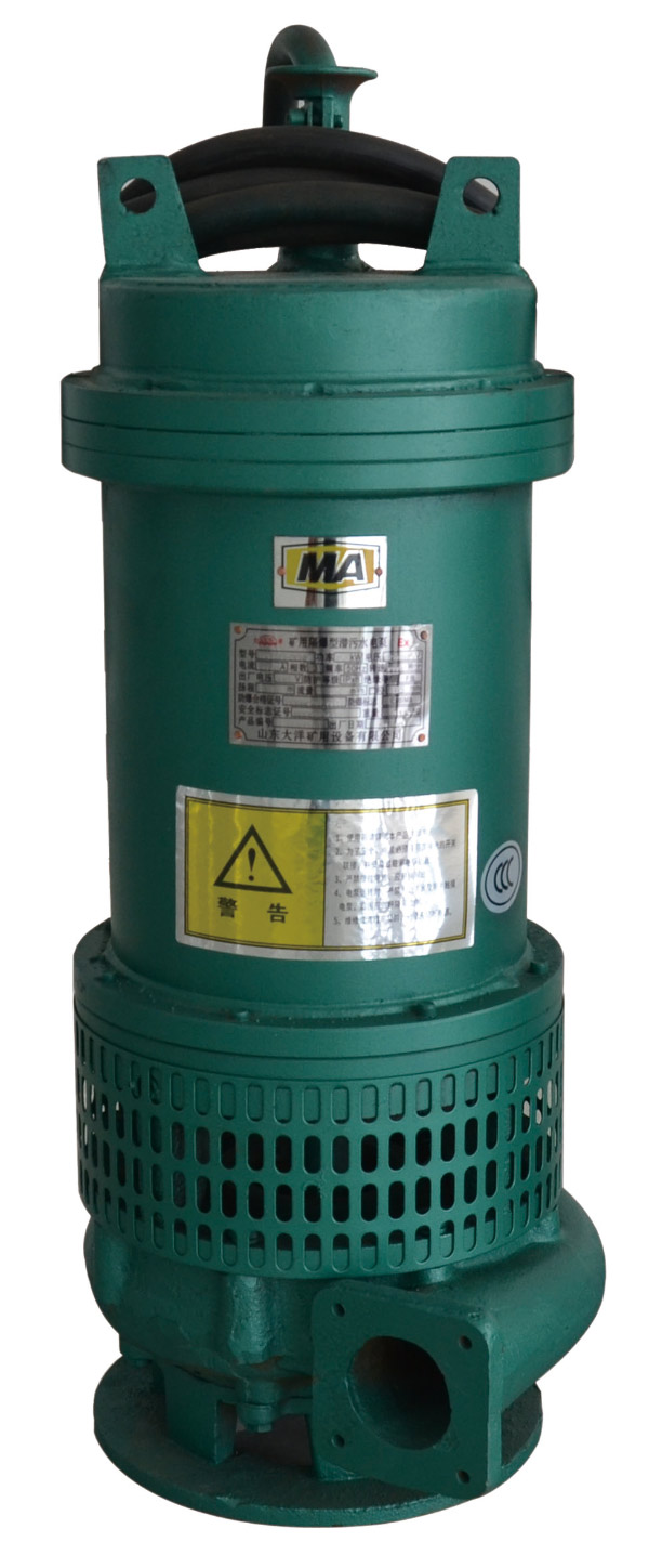 自动潜水排污电泵